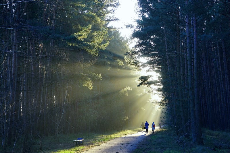 Nature Walk Image